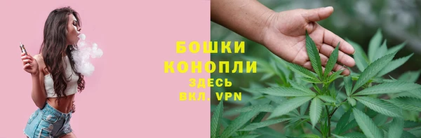 трава Абаза