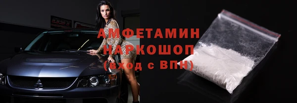 СК Алексин